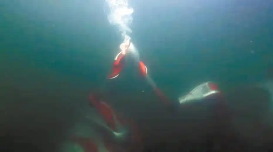 冬残奥会：上肢助力外骨骼机器人协助火炬传递，科技亮点十足